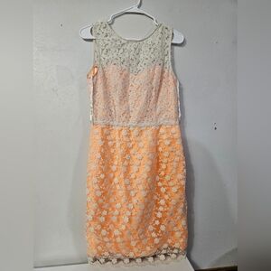 Just Taylor Orange And Cream Lace Overlay Dress!